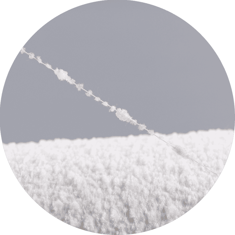 Хризантема Пряжа